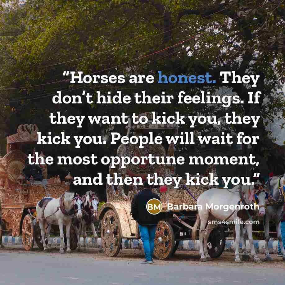 “Horses are honest. They don’t hide their feelings. If they want to kick you, they kick you. People will wait for the most opportune moment, and then they kick you.” quote by Barbara Morgenroth
