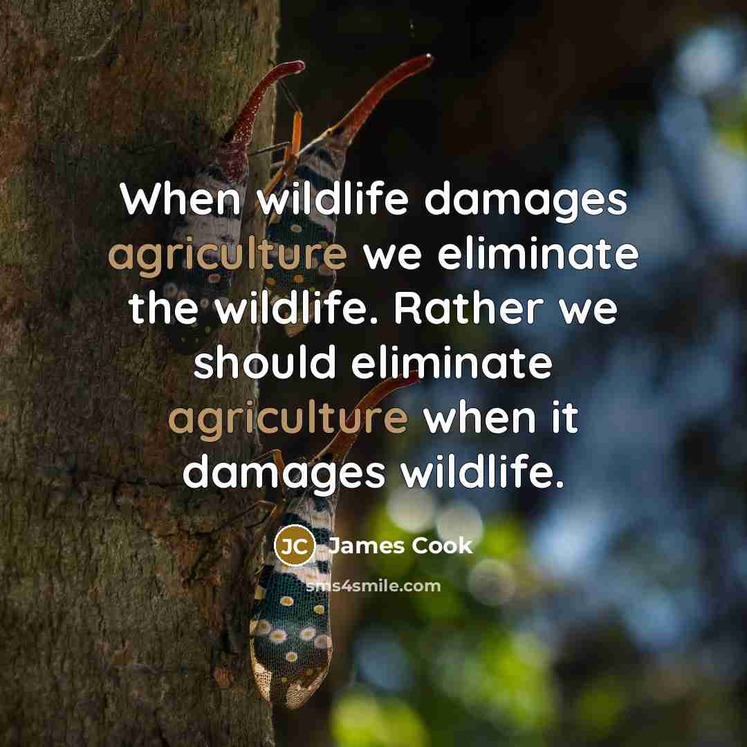 “When wildlife damages agriculture we eliminate the wildlife. Rather we should eliminate agriculture when it damages wildlife.” quote by James Cook