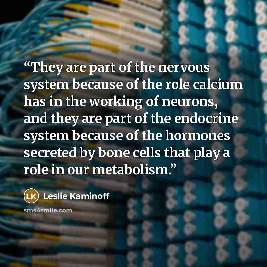 “They are part of the nervous system because of the role calcium has in the working of neurons, and they are part of the endocrine system because of the hormones secreted by bone cells that play a role in our metabolism.” quote by Leslie Kaminoff