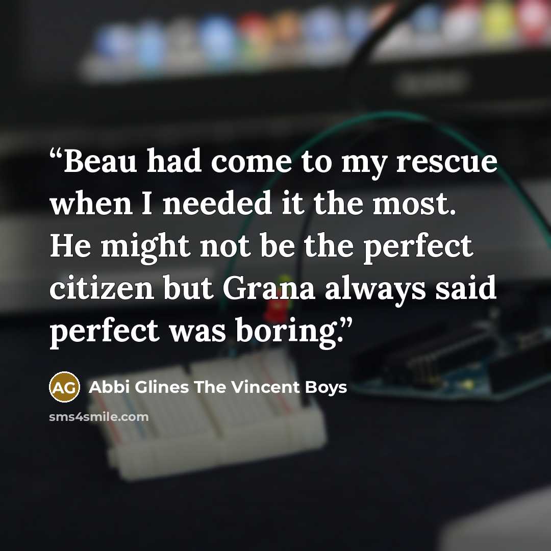 “Beau had come to my rescue when I needed it the most. He might not be the perfect citizen but Grana always said perfect was boring.” quote by Abbi Glines The Vincent Boys
