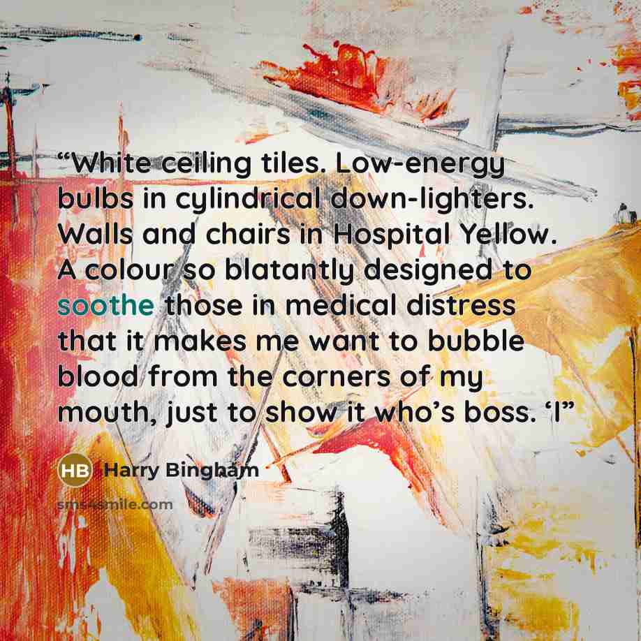 “White ceiling tiles. Low-energy bulbs in cylindrical down-lighters. Walls and chairs in Hospital Yellow. A colour so blatantly designed to soothe those in medical distress that it makes me want to bubble blood from the corners of my mouth, just to show it who’s boss. ‘I” quote by Harry Bingham