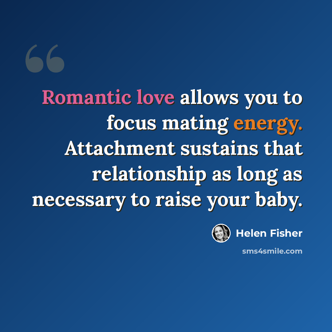 “Romantic love allows you to focus mating energy. Attachment sustains that relationship as long as necessary to raise your baby.” quote by Helen Fisher