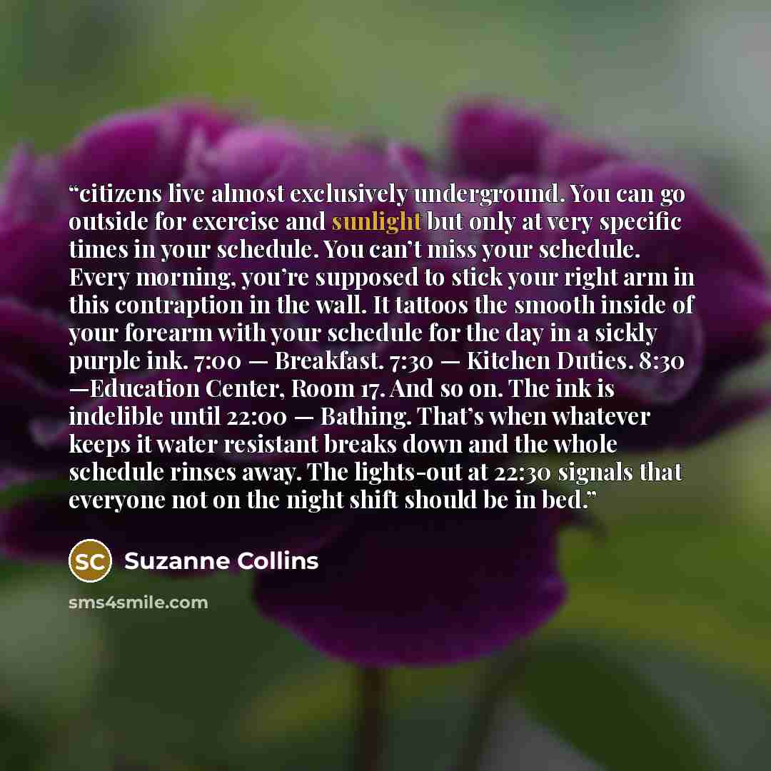 “citizens live almost exclusively underground. You can go outside for exercise and sunlight but only at very specific times in your schedule. You can’t miss your schedule. Every morning, you’re supposed to stick your right arm in this contraption in the wall. It tattoos the smooth inside of your…” quote by Suzanne Collins