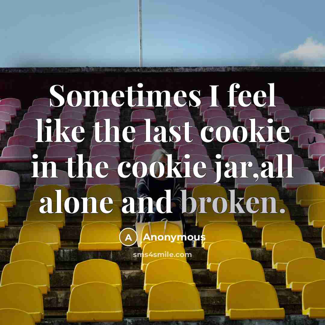 “Sometimes I feel like the last cookie in the cookie jar,all alone and broken.” quote by Anonymous