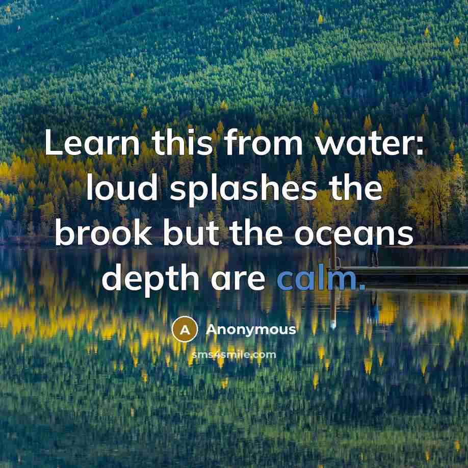 “Learn this from water: loud splashes the brook but the oceans depth are calm.” quote by Anonymous