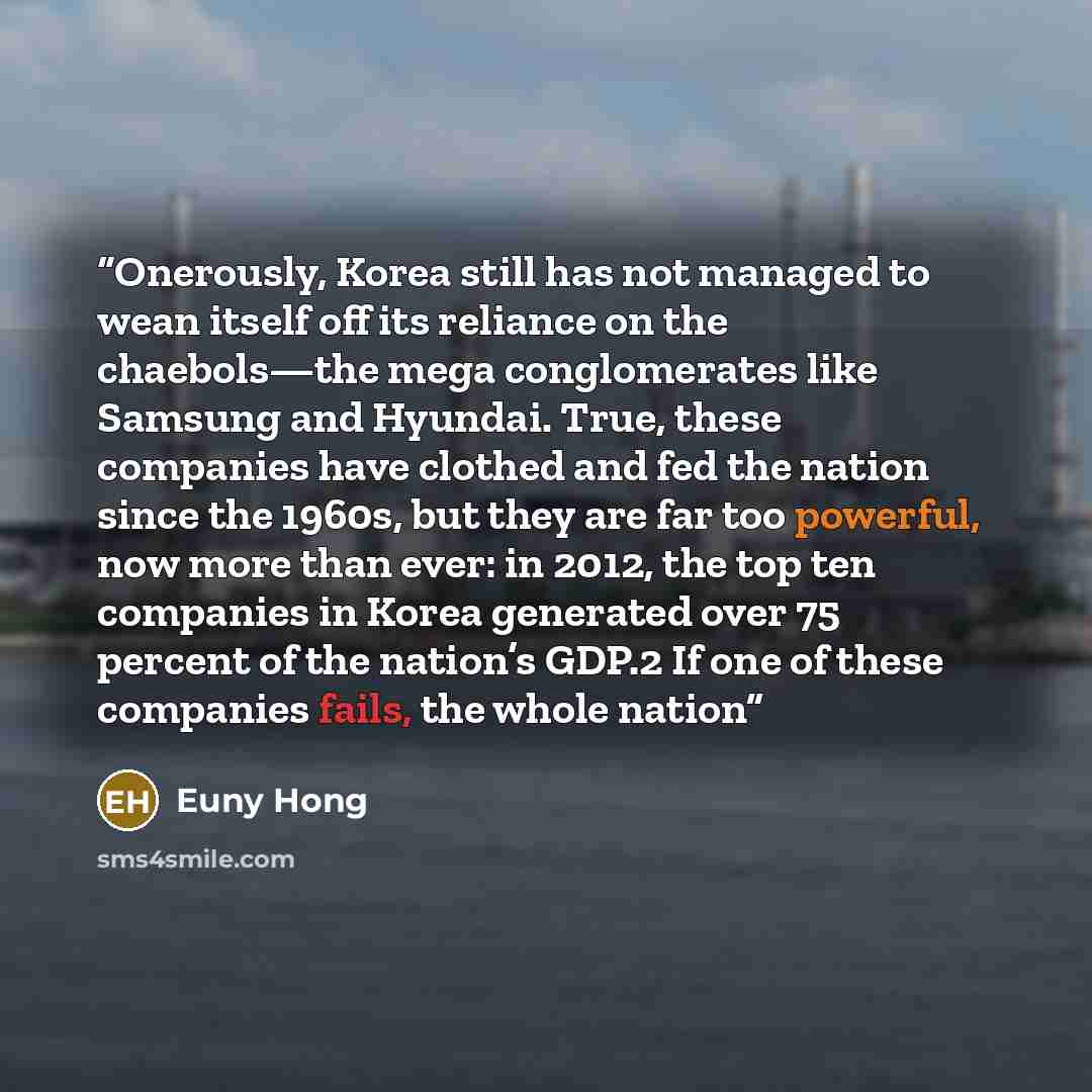 “Onerously, Korea still has not managed to wean itself off its reliance on the chaebols—the mega conglomerates like Samsung and Hyundai. True, these companies have clothed and fed the nation since the 1960s, but they are far too powerful, now more than ever: in 2012, the top ten companies in Korea…” quote by Euny Hong