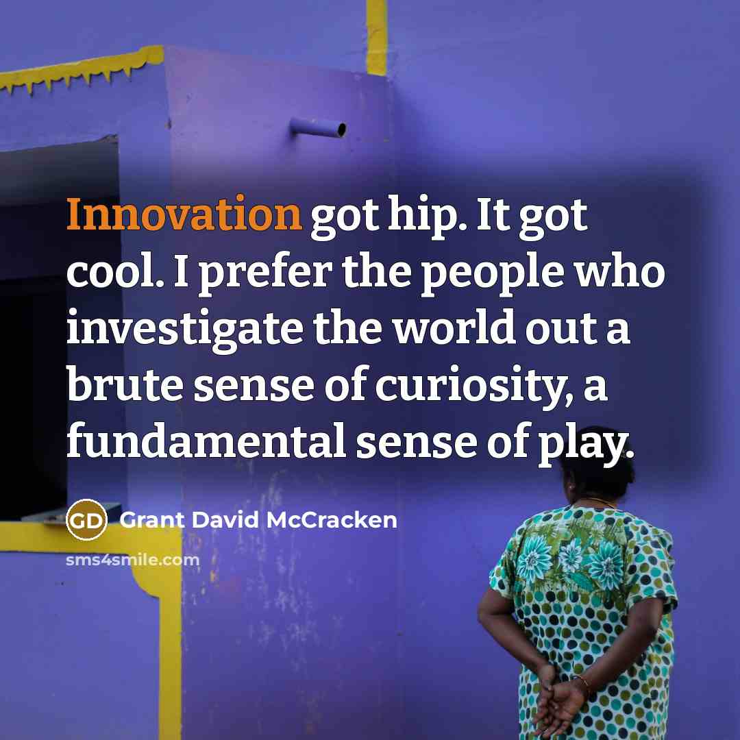 “Innovation got hip. It got cool. I prefer the people who investigate the world out a brute sense of curiosity, a fundamental sense of play.” quote by Grant David McCracken