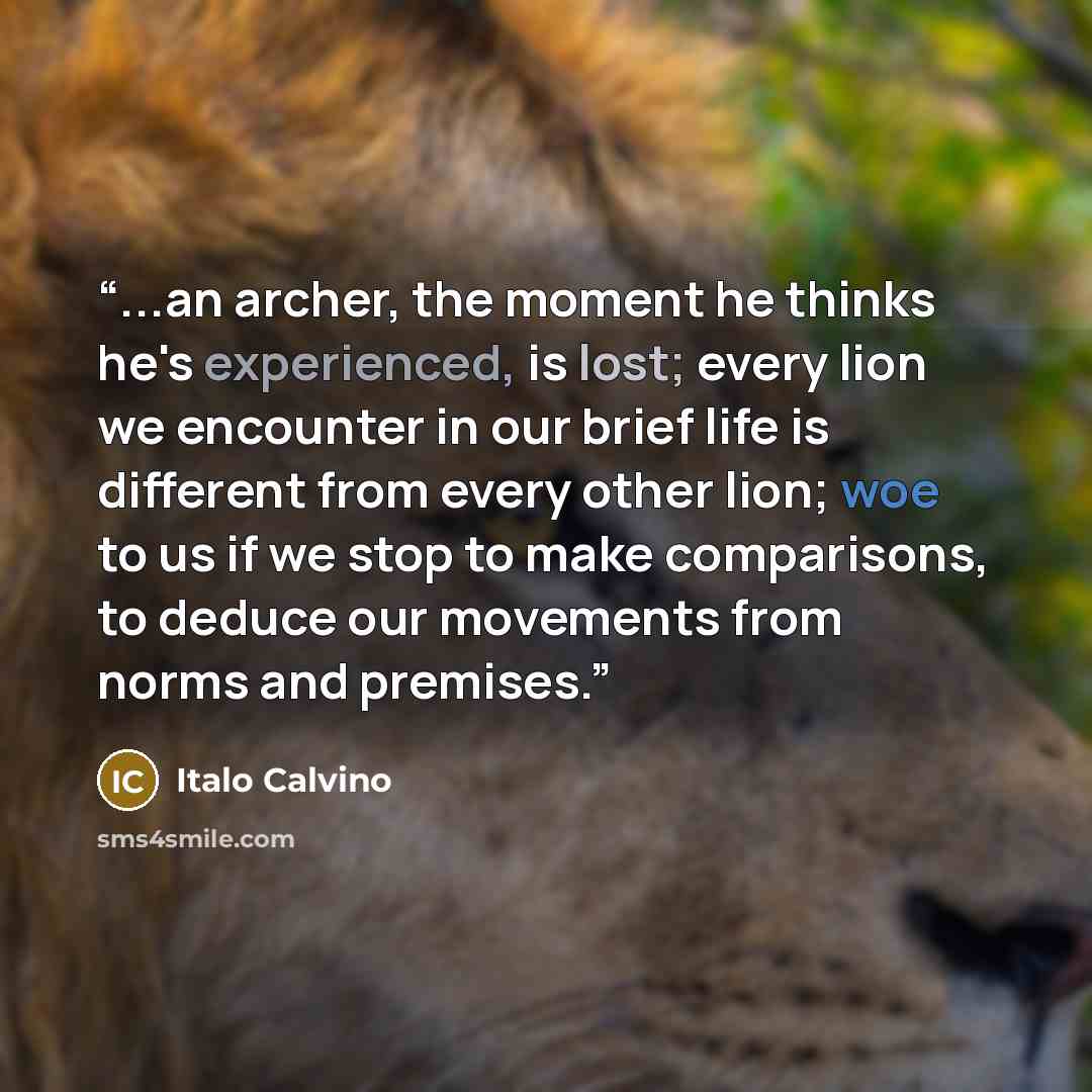 “...an archer, the moment he thinks he's experienced, is lost; every lion we encounter in our brief life is different from every other lion; woe to us if we stop to make comparisons, to deduce our movements from norms and premises.” quote by Italo Calvino