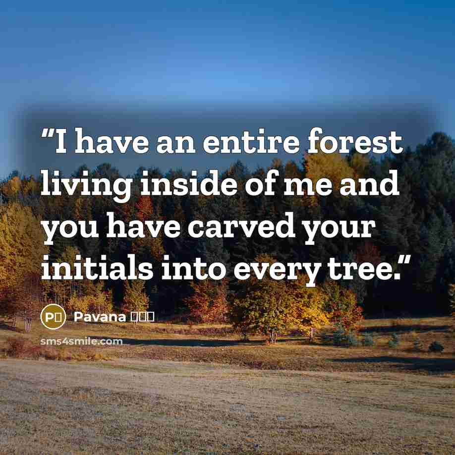 “I have an entire forest living inside of me and you have carved your initials into every tree.” quote by Pavana पवन