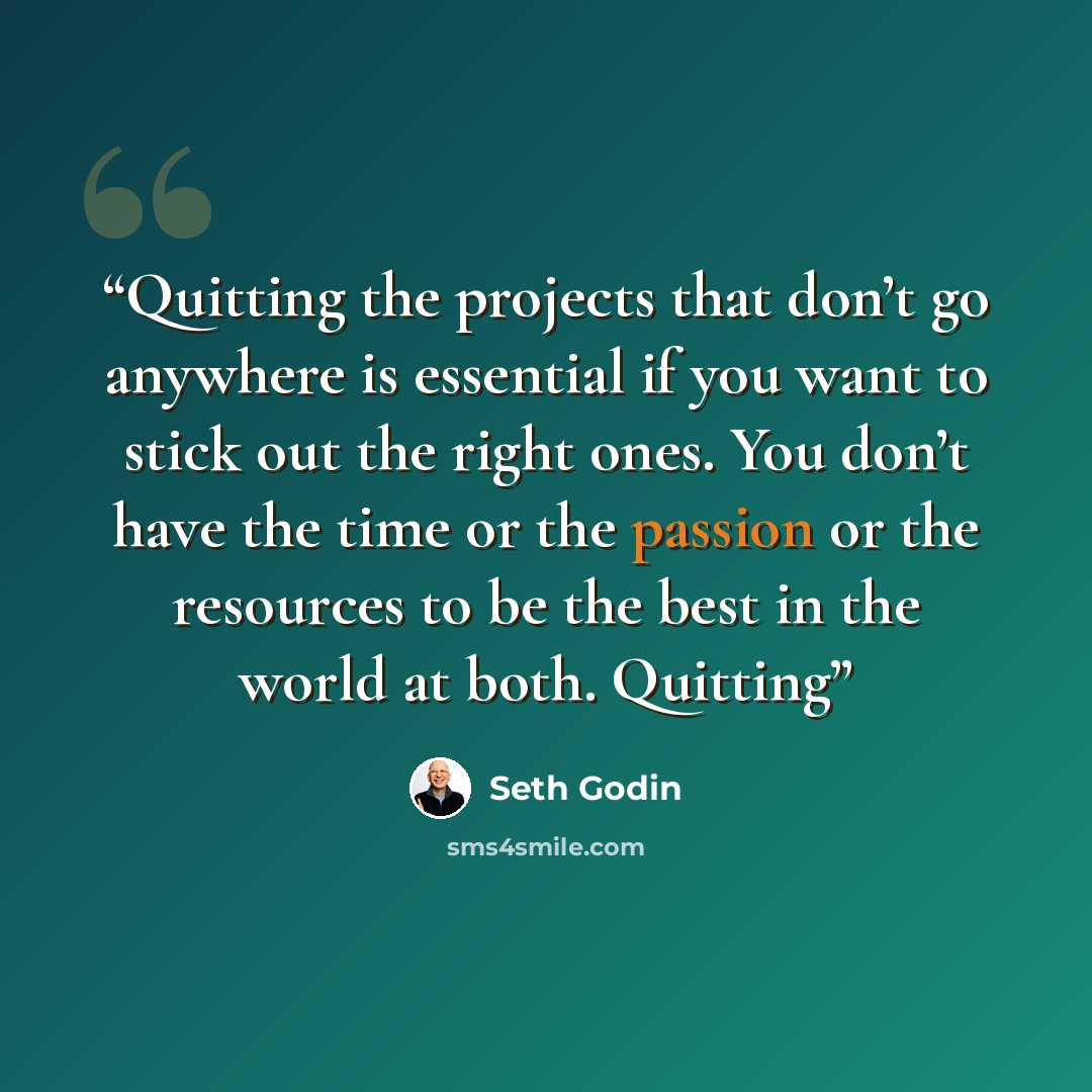 “Quitting the projects that don’t go anywhere is essential if you want to stick out the right ones. You don’t have the time or the passion or the resources to be the best in the world at both. Quitting” quote by Seth Godin