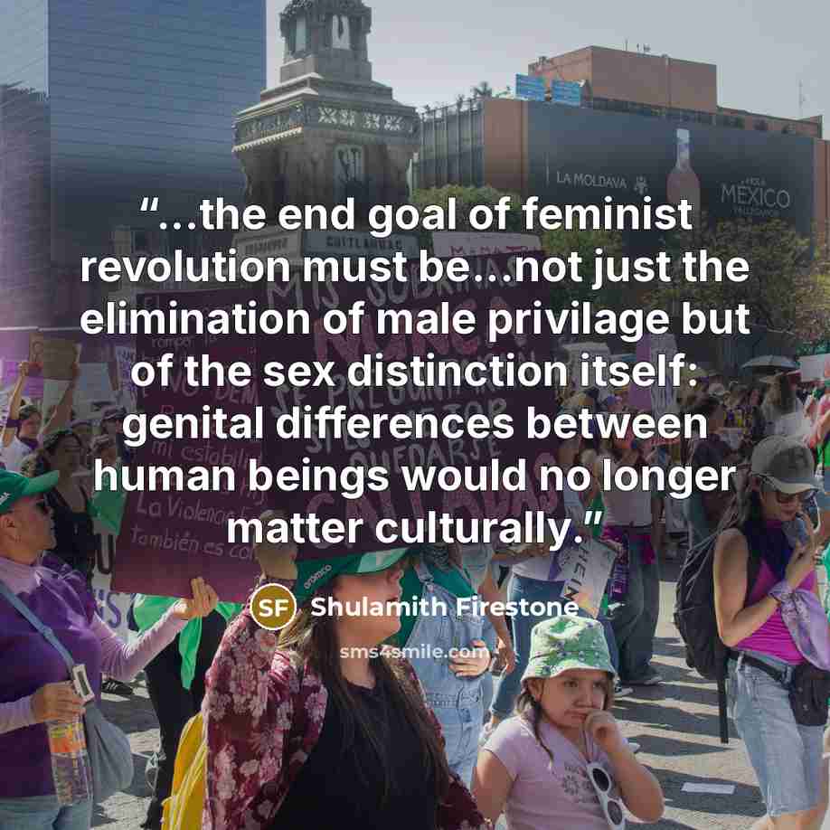 “...the end goal of feminist revolution must be...not just the elimination of male privilage but of the sex distinction itself: genital differences between human beings would no longer matter culturally.” quote by Shulamith Firestone