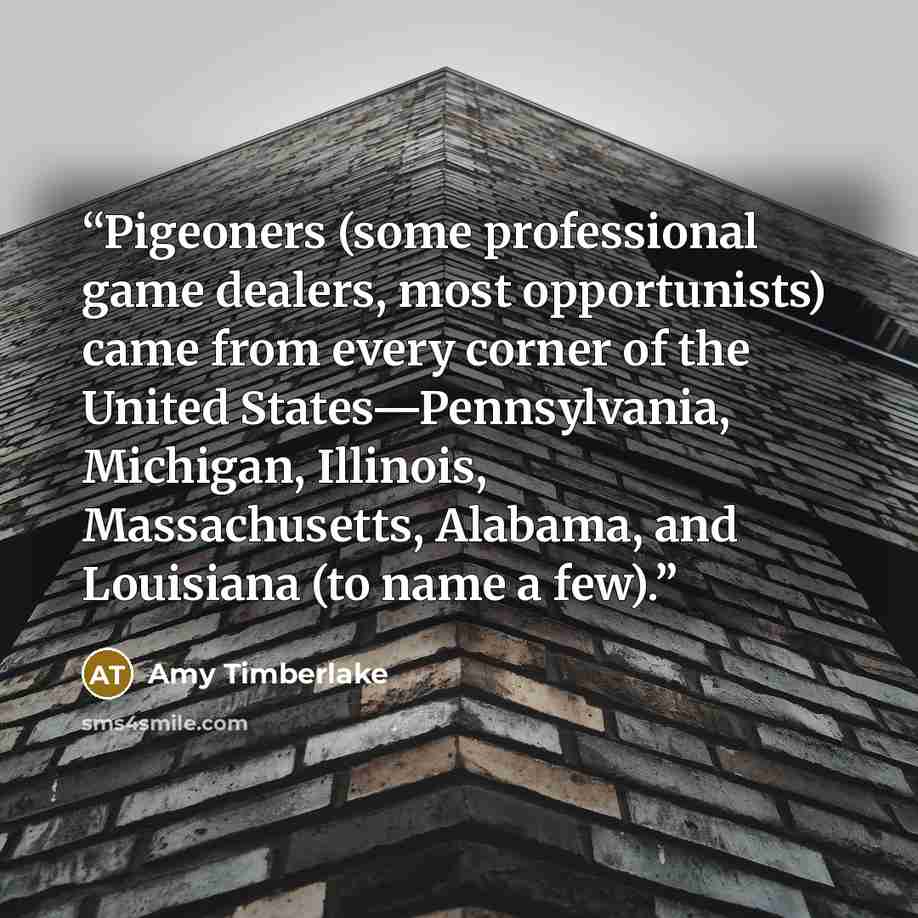“Pigeoners (some professional game dealers, most opportunists) came from every corner of the United States—Pennsylvania, Michigan, Illinois, Massachusetts, Alabama, and Louisiana (to name a few).” quote by Amy Timberlake