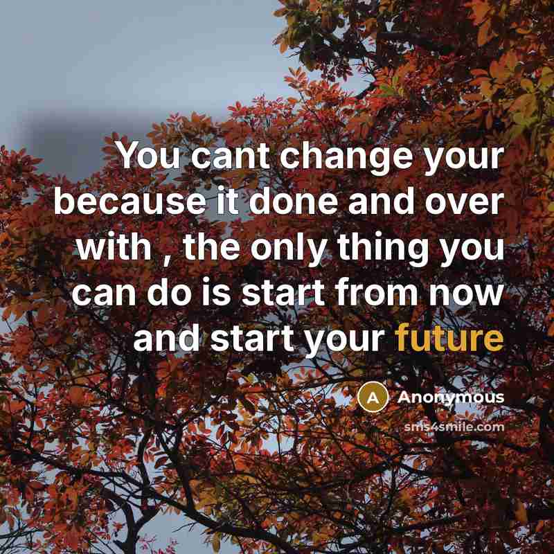 “You cant change your because it done and over with , the only thing you can do is start from now and start your future” quote by Anonymous