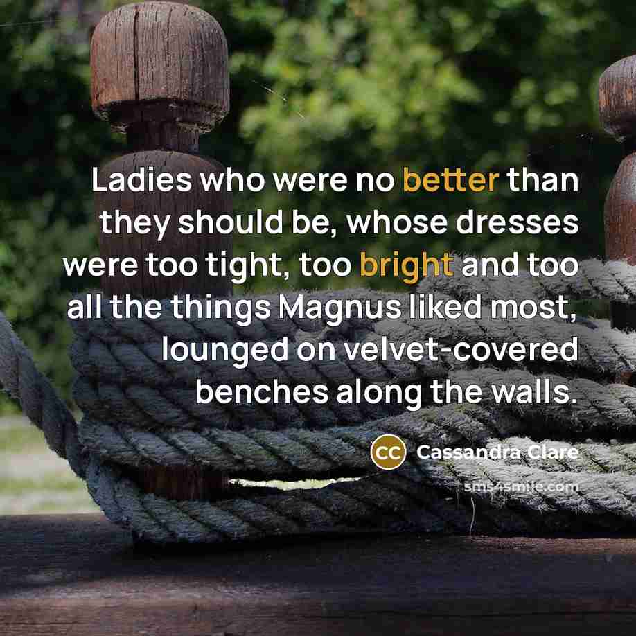 “Ladies who were no better than they should be, whose dresses were too tight, too bright and too all the things Magnus liked most, lounged on velvet-covered benches along the walls.” quote by Cassandra Clare
