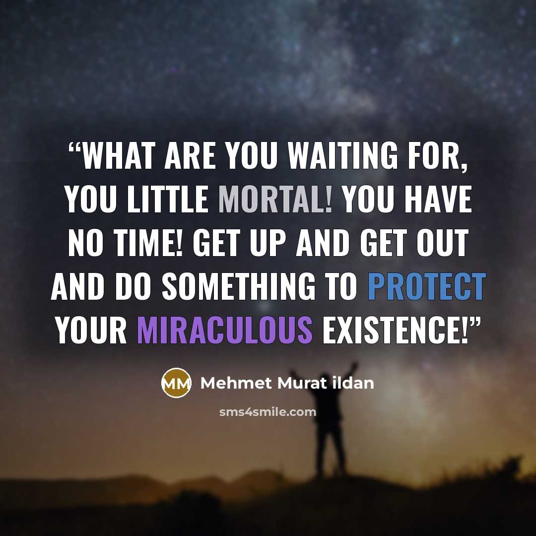 “What are you waiting for, you little mortal! You have no time! Get up and get out and do something to protect your miraculous existence!” quote by Mehmet Murat ildan