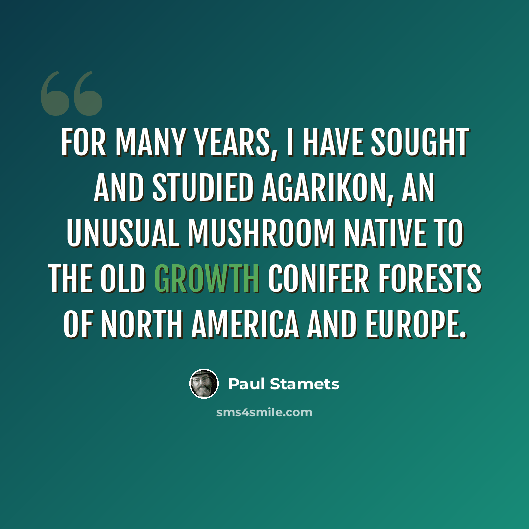 “For many years, I have sought and studied Agarikon, an unusual mushroom native to the old growth conifer forests of North America and Europe.” quote by Paul Stamets