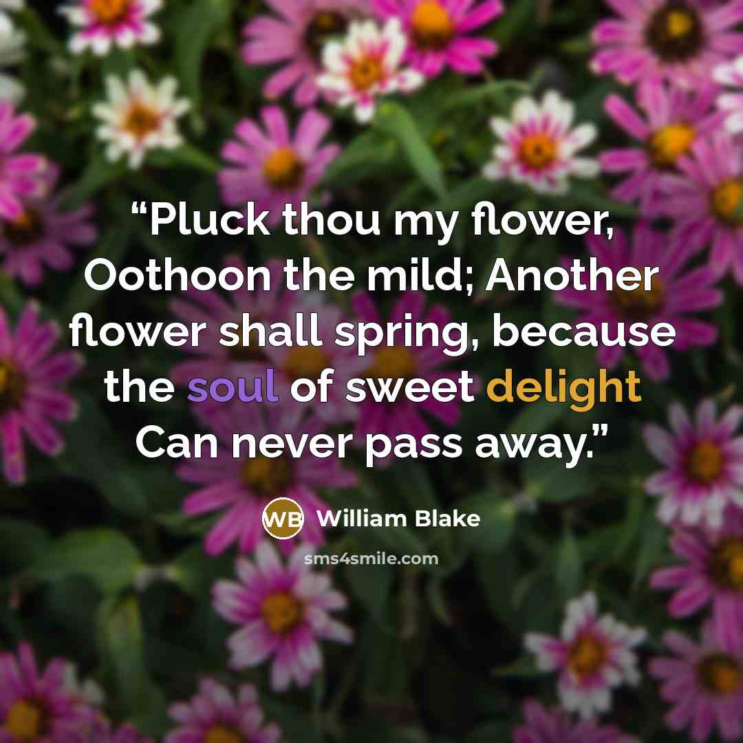 “Pluck thou my flower, Oothoon the mild; Another flower shall spring, because the soul of sweet delight Can never pass away.” quote by William Blake