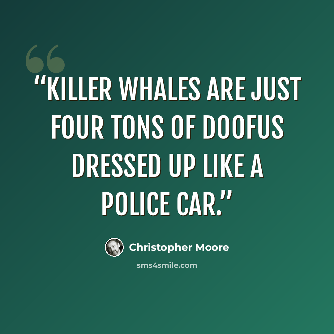 “killer whales are just four tons of doofus dressed up like a police car.” quote by Christopher Moore