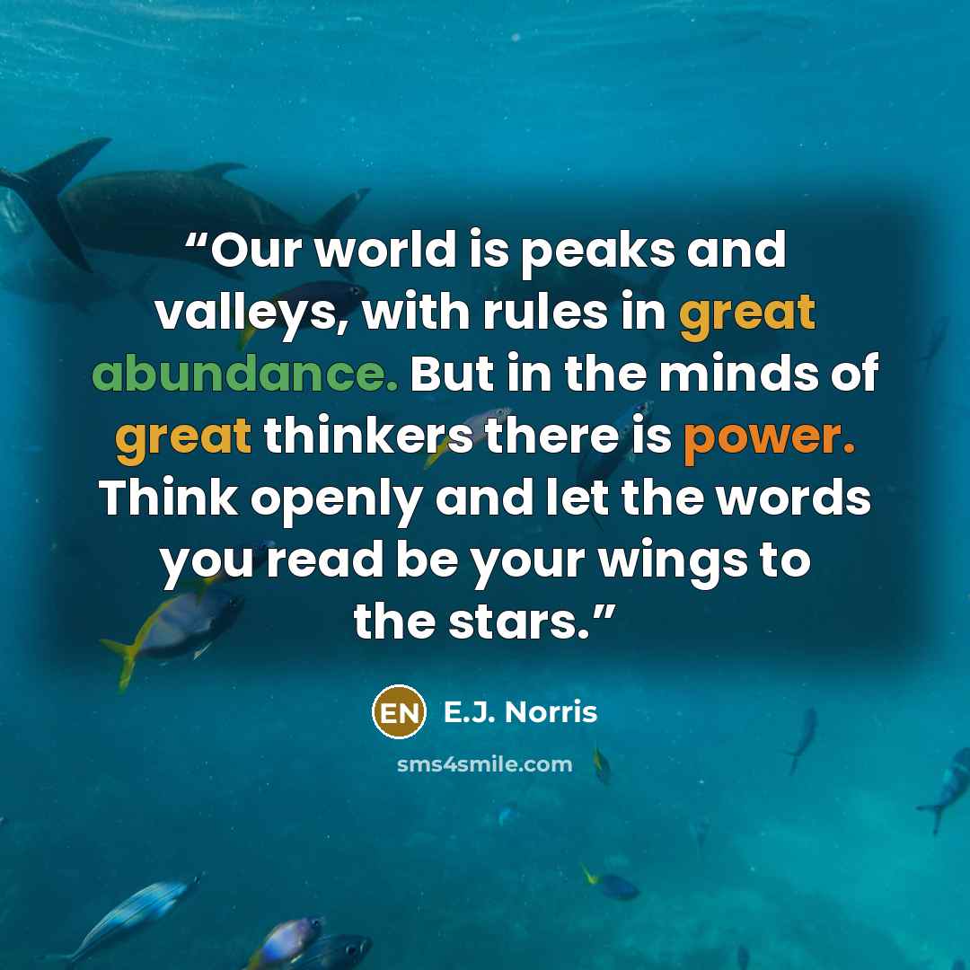 “Our world is peaks and valleys, with rules in great abundance. But in the minds of great thinkers there is power. Think openly and let the words you read be your wings to the stars.” quote by E.J. Norris