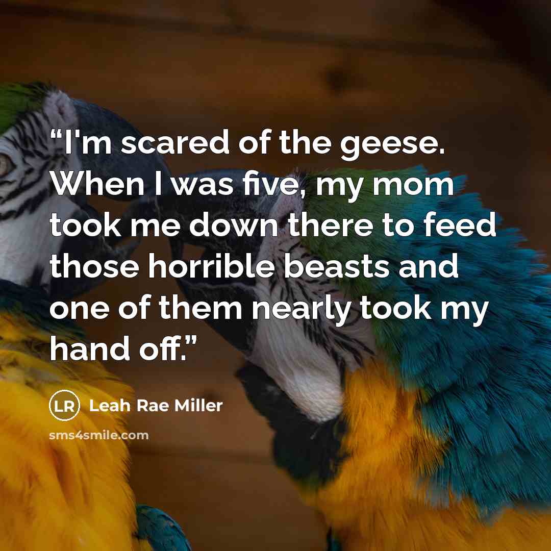 “I'm scared of the geese. When I was five, my mom took me down there to feed those horrible beasts and one of them nearly took my hand off.” quote by Leah Rae Miller