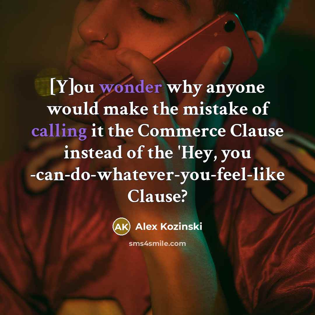 “[Y]ou wonder why anyone would make the mistake of calling it the Commerce Clause instead of the 'Hey, you -can-do-whatever-you-feel-like Clause?” quote by Alex Kozinski