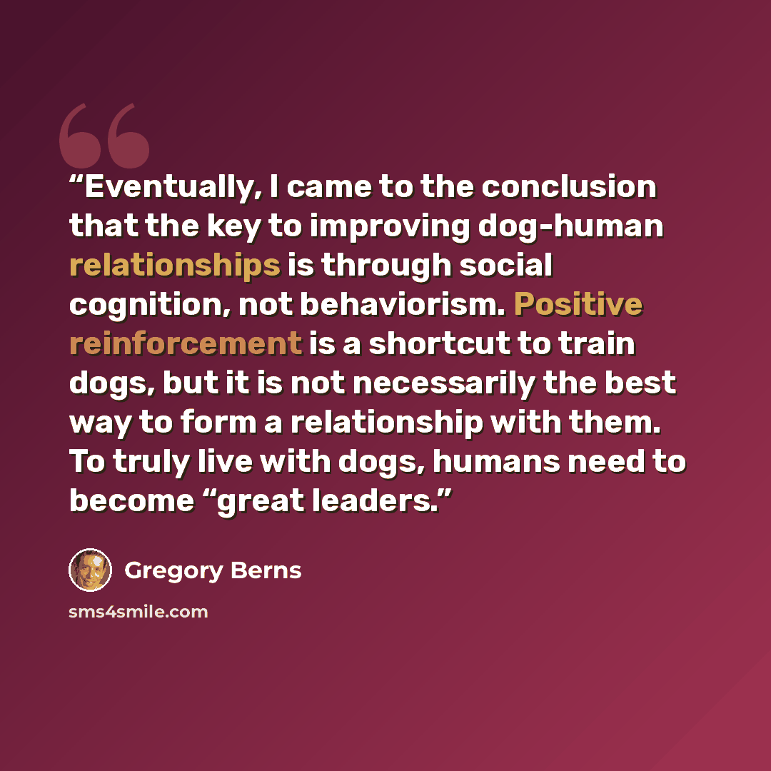 “Eventually, I came to the conclusion that the key to improving dog-human relationships is through social cognition, not behaviorism. Positive reinforcement is a shortcut to train dogs, but it is not necessarily the best way to form a relationship with them. To truly live with dogs, humans need to…” quote by Gregory Berns