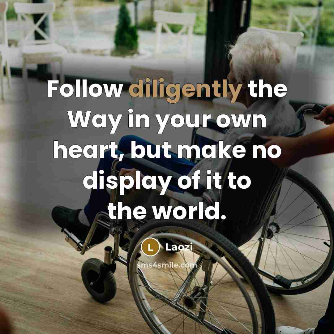 “Follow diligently the Way in your own heart, but make no display of it to the world.” quote by Laozi