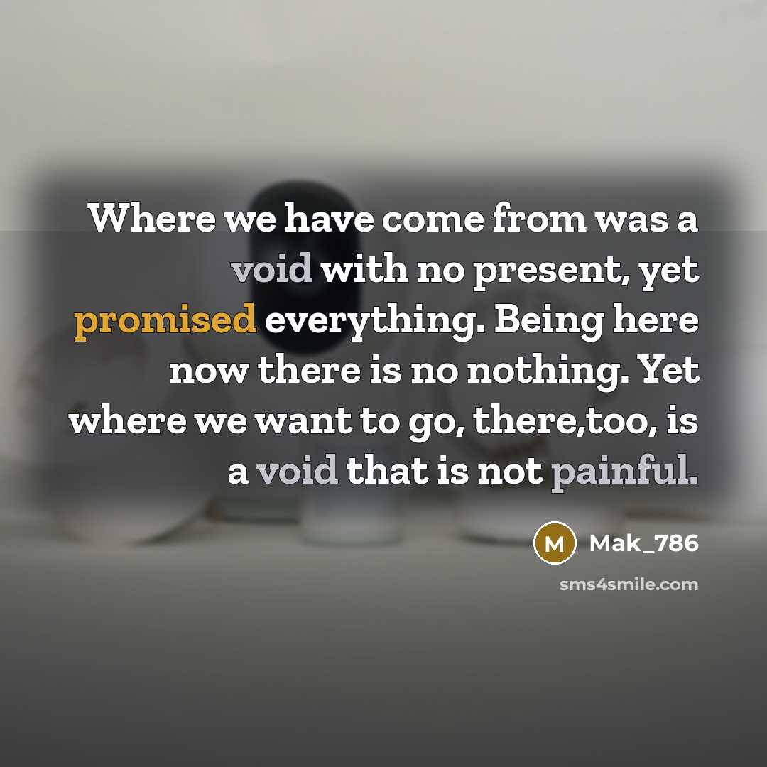 “Where we have come from was a void with no present, yet promised everything. Being here now there is no nothing. Yet where we want to go, there,too, is a void that is not painful.” quote by Mak_786