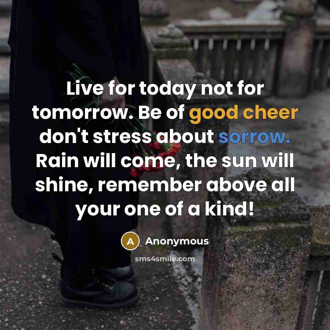 “Live for today not for tomorrow. Be of good cheer don't stress about sorrow. Rain will come, the sun will shine, remember above all your one of a kind!” quote by Anonymous