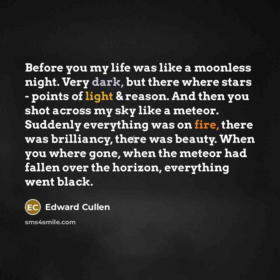 “Before you my life was like a moonless night. Very dark, but there where stars - points of light & reason. And then you shot across my sky like a meteor. Suddenly everything was on fire, there was brilliancy, there was beauty. When you where gone, when the meteor had fallen over the horizon…” quote by Edward Cullen