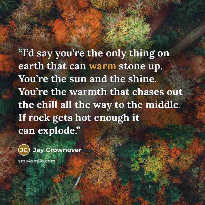 “I’d say you’re the only thing on earth that can warm stone up. You’re the sun and the shine. You’re the warmth that chases out the chill all the way to the middle. If rock gets hot enough it can explode.” quote by Jay Crownover