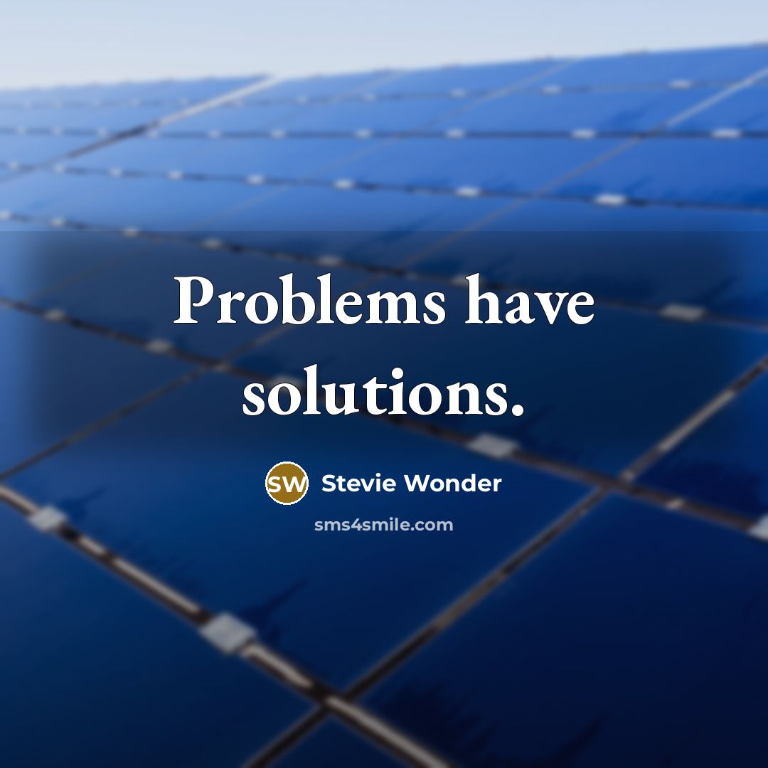 “Problems have solutions.” quote by Stevie Wonder