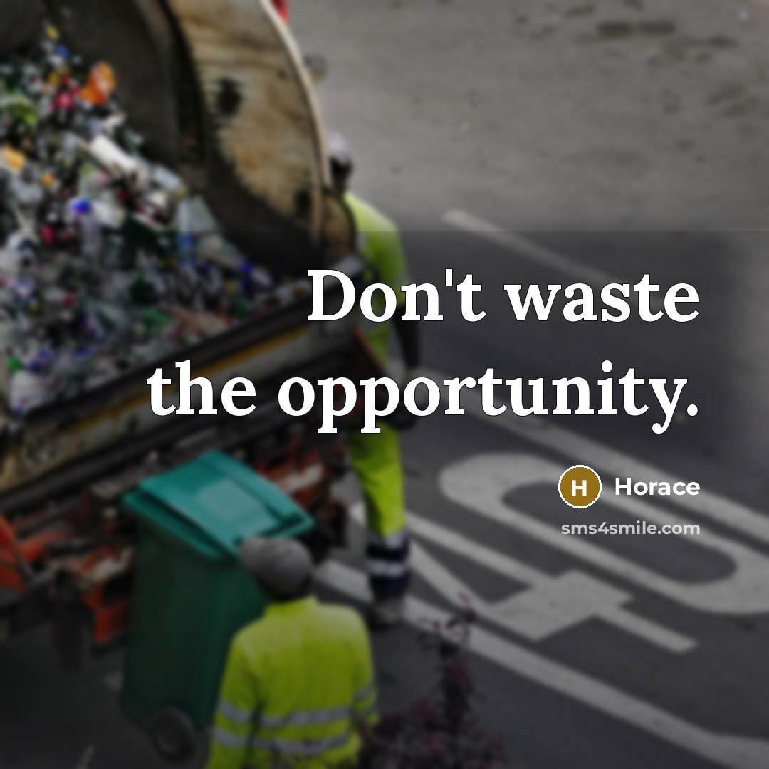 “Don't waste the opportunity.” quote by Horace