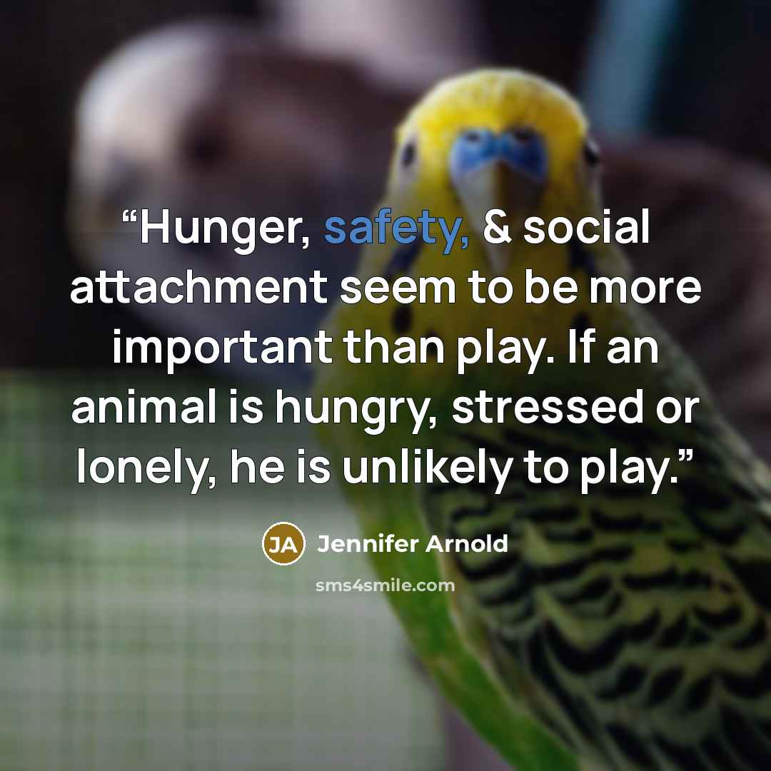“Hunger, safety, & social attachment seem to be more important than play. If an animal is hungry, stressed or lonely, he is unlikely to play.” quote by Jennifer Arnold