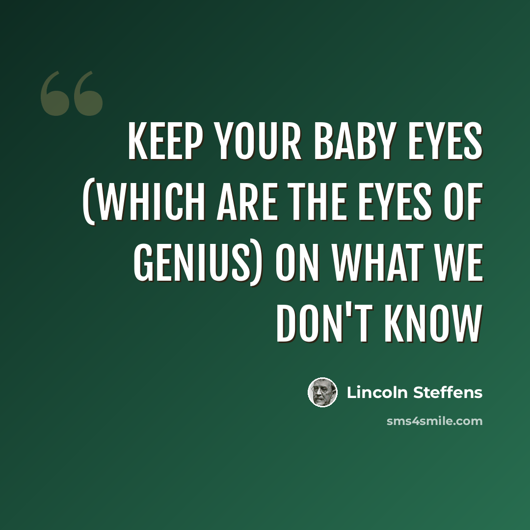 “Keep your baby eyes (which are the eyes of genius) on what we don't know” quote by Lincoln Steffens