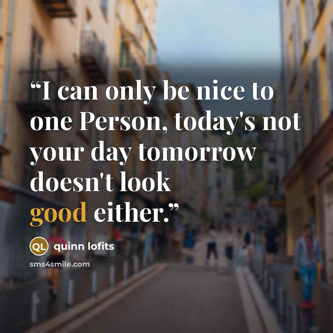 “I can only be nice to one Person, today's not your day tomorrow doesn't look good either.” quote by quinn lofits