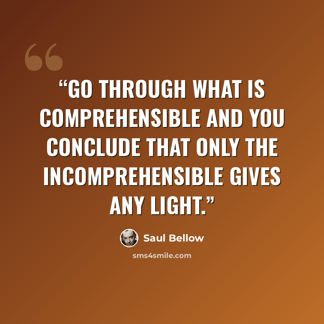 “Go through what is comprehensible and you conclude that only the incomprehensible gives any light.” quote by Saul Bellow