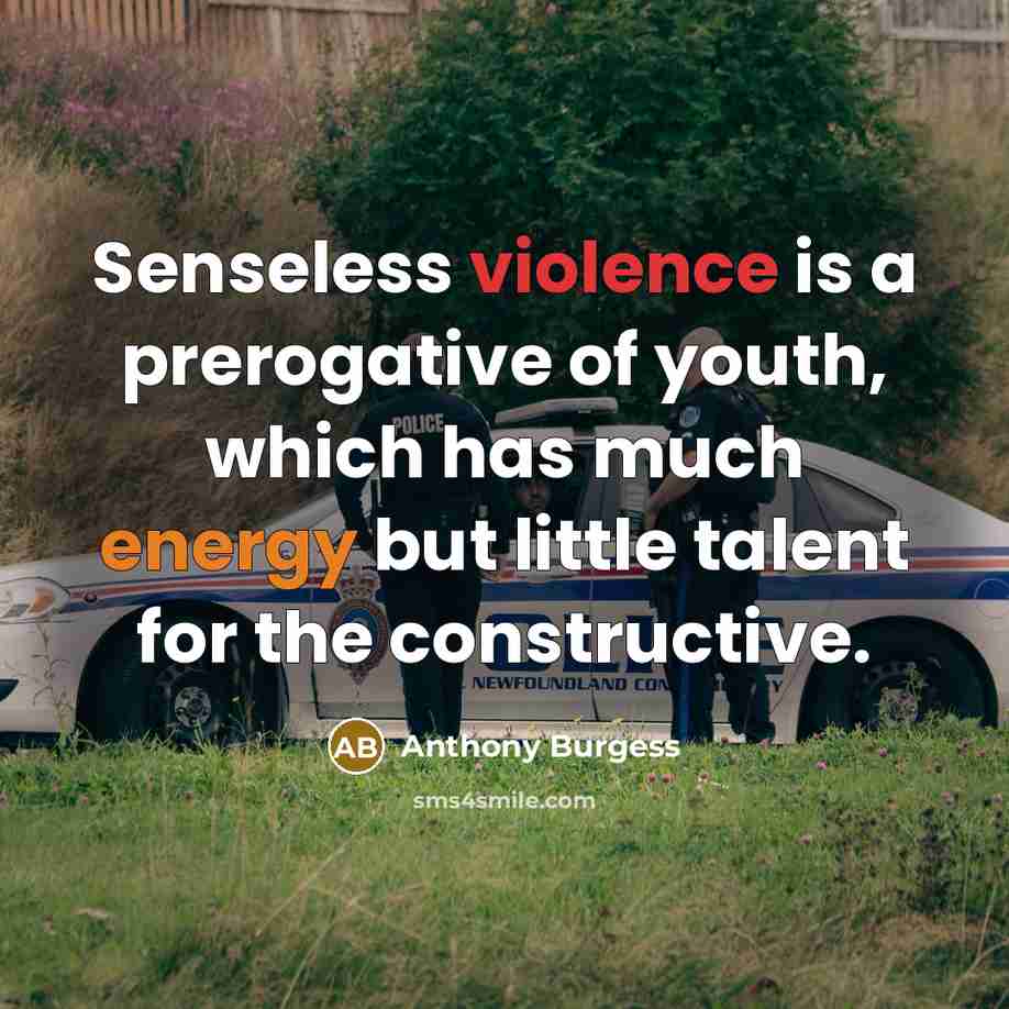 “Senseless violence is a prerogative of youth, which has much energy but little talent for the constructive.” quote by Anthony Burgess