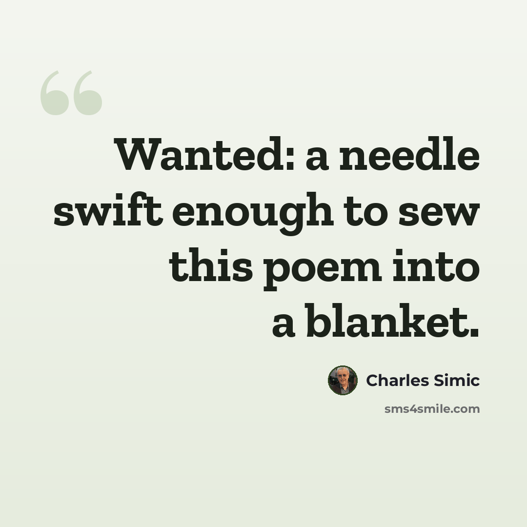 “Wanted: a needle swift enough to sew this poem into a blanket.” quote by Charles Simic