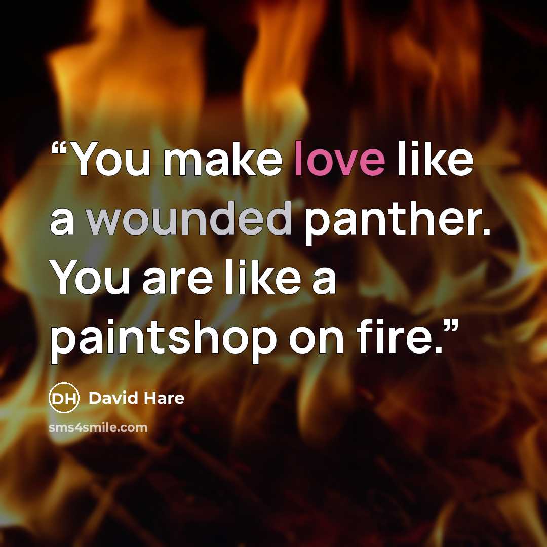 “You make love like a wounded panther. You are like a paintshop on fire.” quote by David Hare