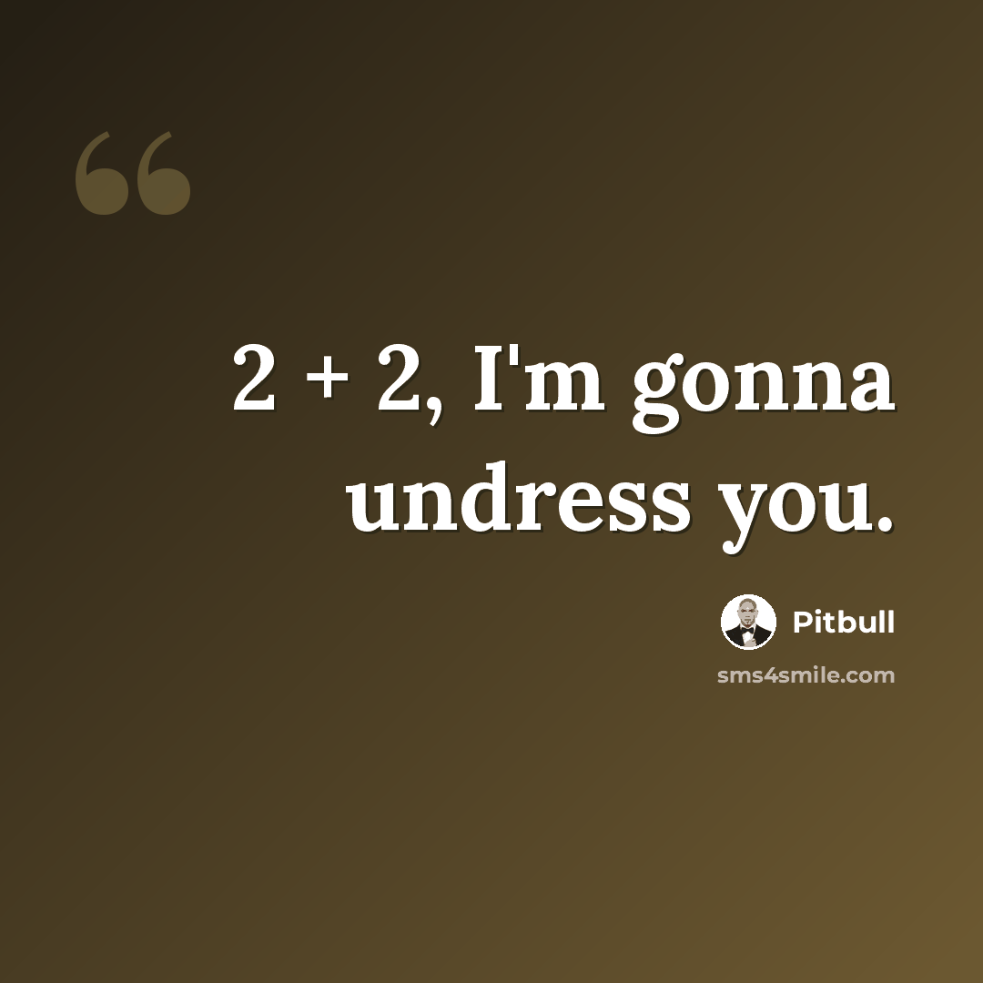 “2 + 2, I'm gonna undress you.” quote by Pitbull