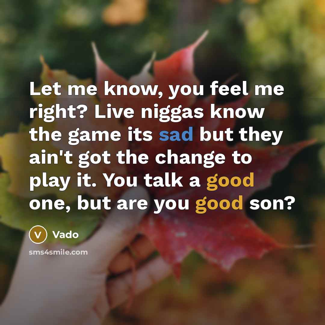 “Let me know, you feel me right? Live niggas know the game its sad but they ain't got the change to play it. You talk a good one, but are you good son?” quote by Vado