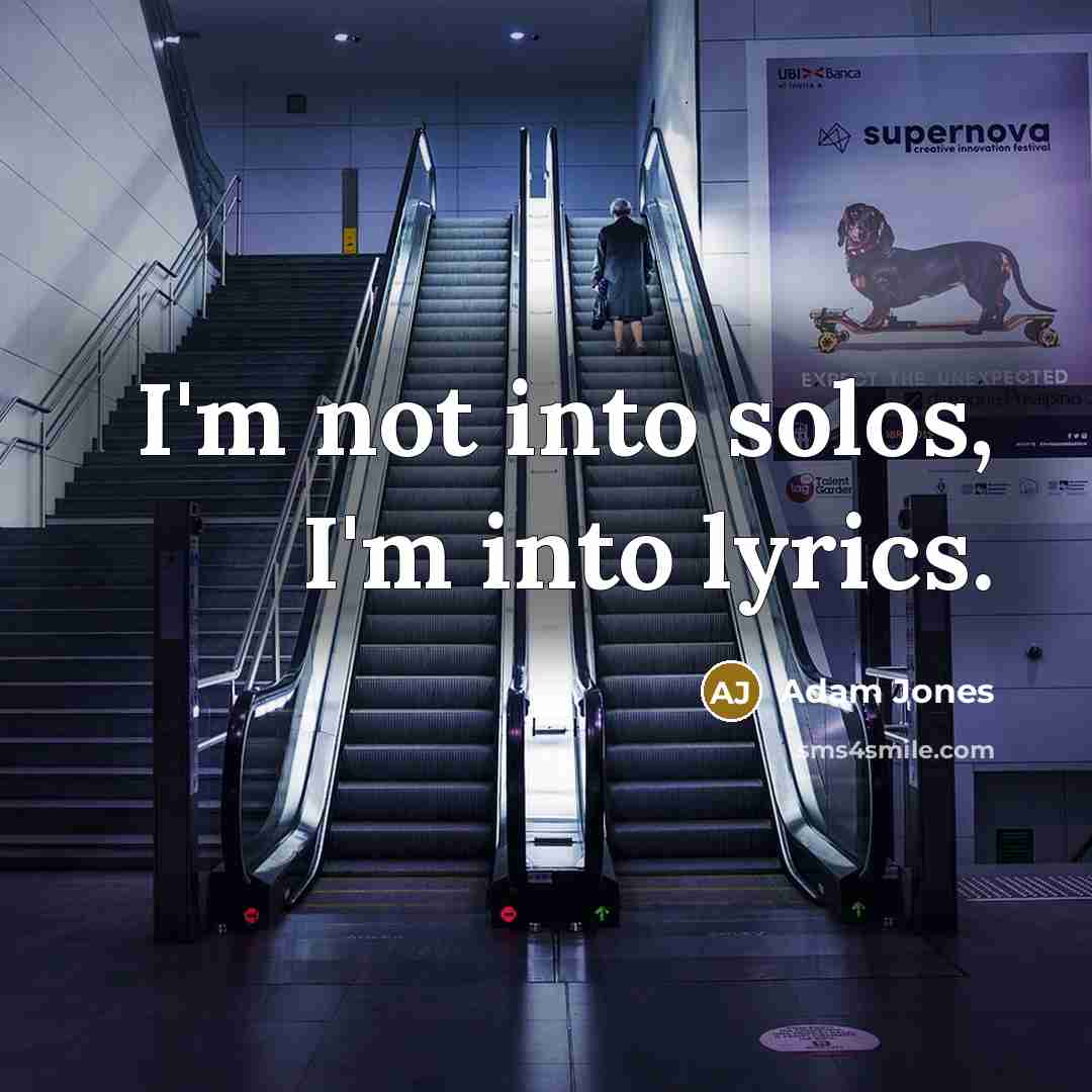 “I'm not into solos, I'm into lyrics.” quote by Adam Jones
