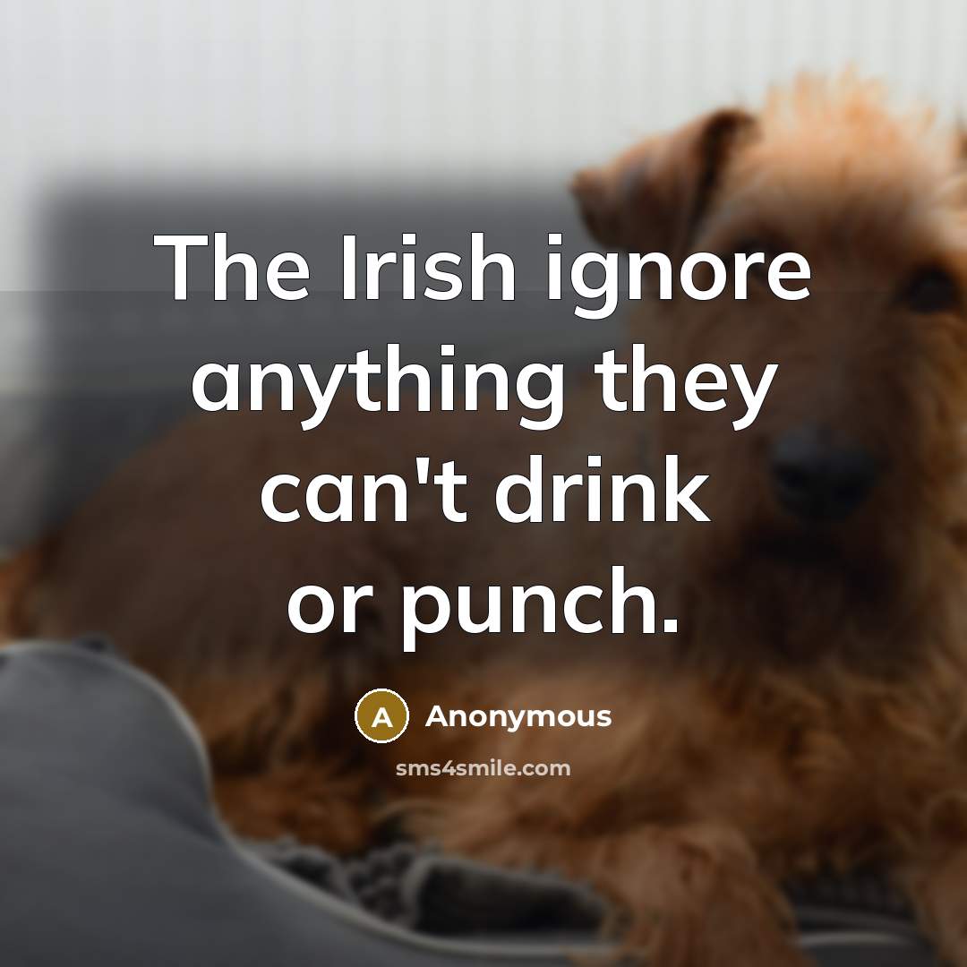 “The Irish ignore anything they can't drink or punch.” quote by Anonymous