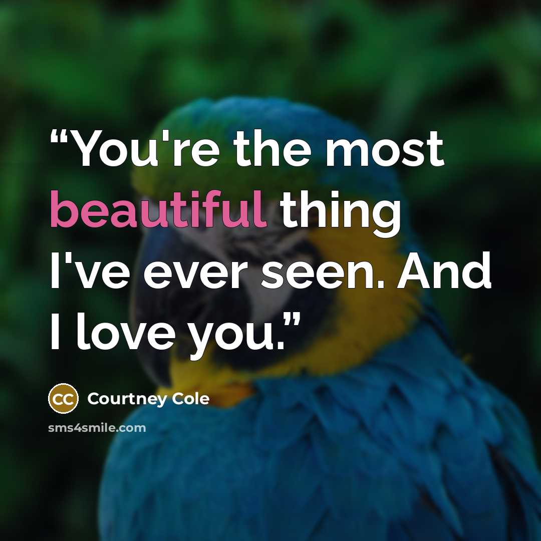 “You're the most beautiful thing I've ever seen. And I love you.” quote by Courtney Cole