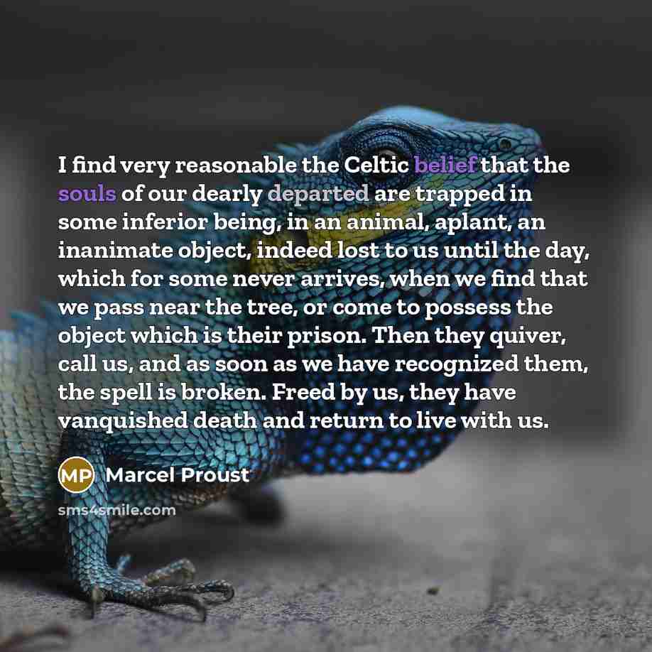 “I find very reasonable the Celtic belief that the souls of our dearly departed are trapped in some inferior being, in an animal, aplant, an inanimate object, indeed lost to us until the day, which for some never arrives, when we find that we pass near the tree, or come to possess the object which…” quote by Marcel Proust