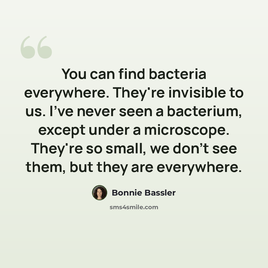 “You can find bacteria everywhere. They're invisible to us. I've never seen a bacterium, except under a microscope. They're so small, we don't see them, but they are everywhere.” quote by Bonnie Bassler