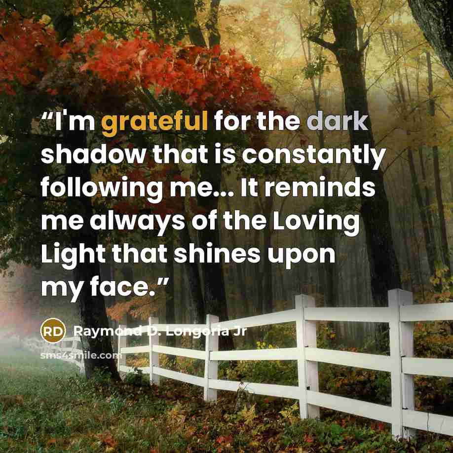 “I'm grateful for the dark shadow that is constantly following me... It reminds me always of the Loving Light that shines upon my face.” quote by Raymond D. Longoria Jr