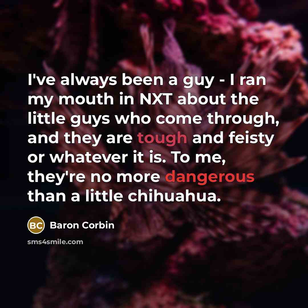 “I've always been a guy - I ran my mouth in NXT about the little guys who come through, and they are tough and feisty or whatever it is. To me, they're no more dangerous than a little chihuahua.” quote by Baron Corbin