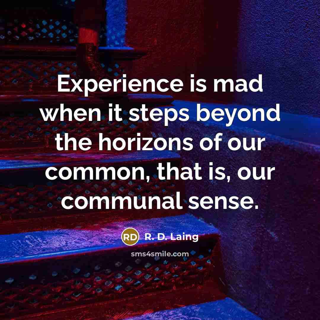 “Experience is mad when it steps beyond the horizons of our common, that is, our communal sense.” quote by R. D. Laing